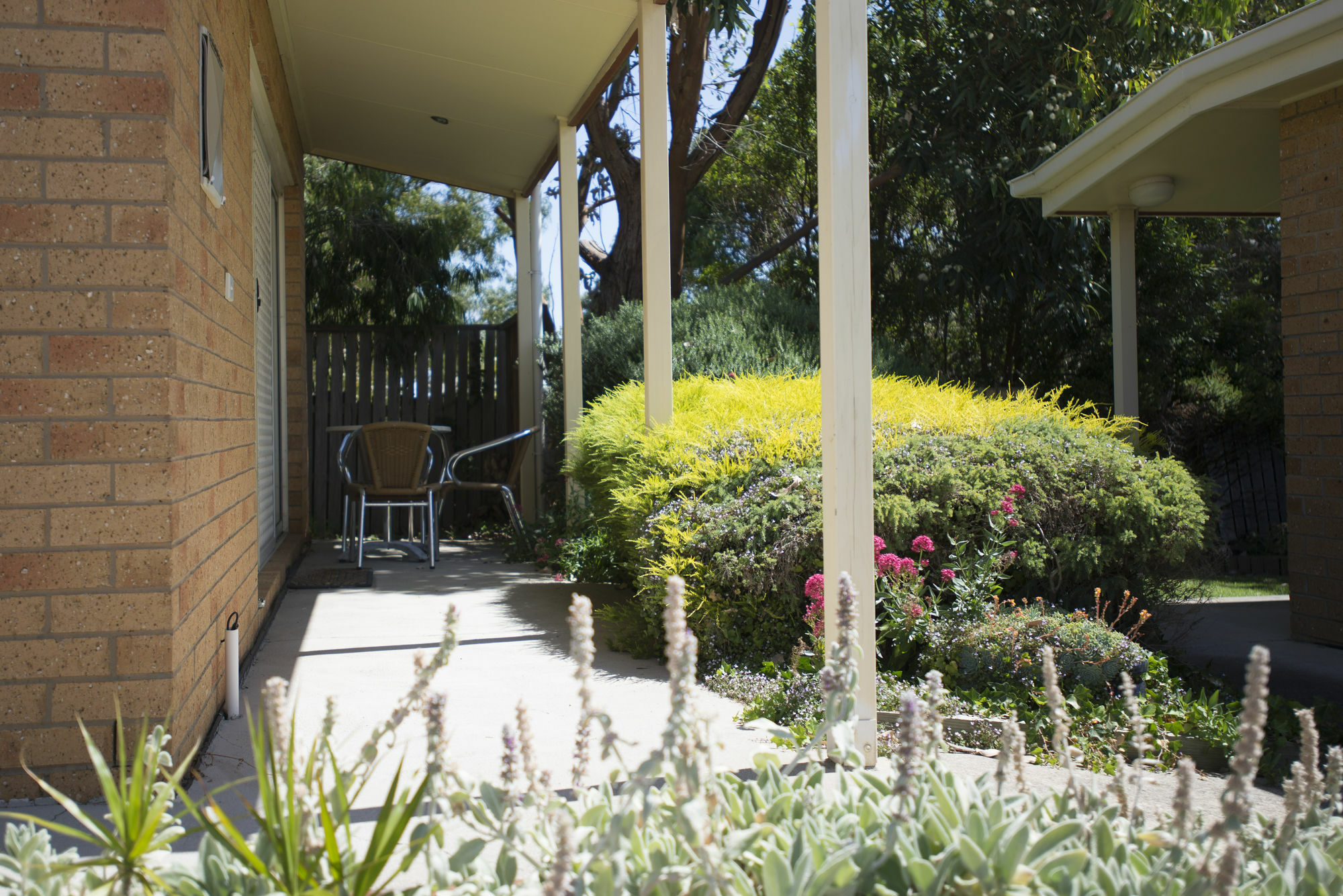 Port Campbell Parkview Motel & Apartments Zewnętrze zdjęcie